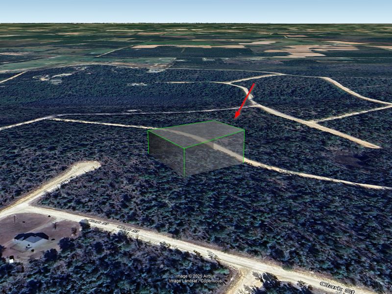 Wooded Lot in Alford, Fl, $311/Mo : Alford : Jackson County : Florida