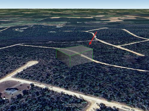 Wooded Lot in Alford, Fl, $311/Mo : Alford : Jackson County : Florida