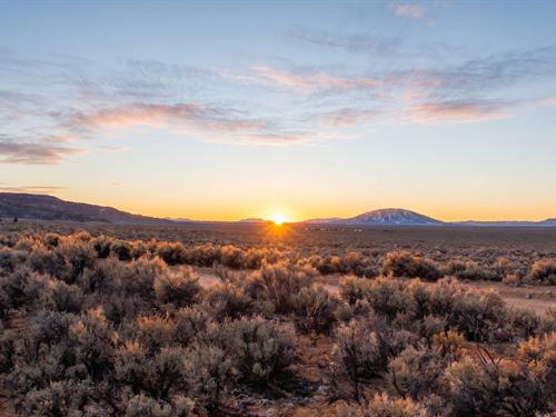 4.9 Acres Colorado Mountain Land : Blanca : Costilla County : Colorado