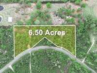 Timberlane Road 6.5 Acres : Lake Wales : Polk County : Florida