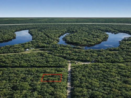 .13 Acre RV Friendly, $150/Mo : Dayton : Liberty County : Texas