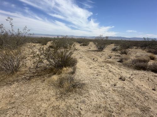 Acres Near Major Solar Projects : Rosamond : Kern County : California