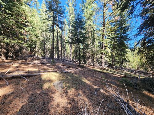 2 for 1 Special, Double Lot : Alturas : Modoc County : California