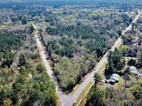 Voorhees Road Tract : Bamberg : South Carolina
