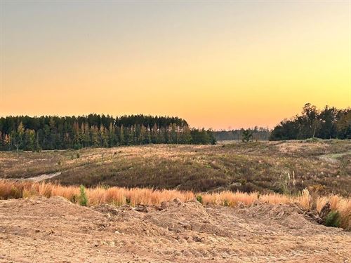 Parcel 5 Sunset Hill Estates : Liberty : Amite County : Mississippi