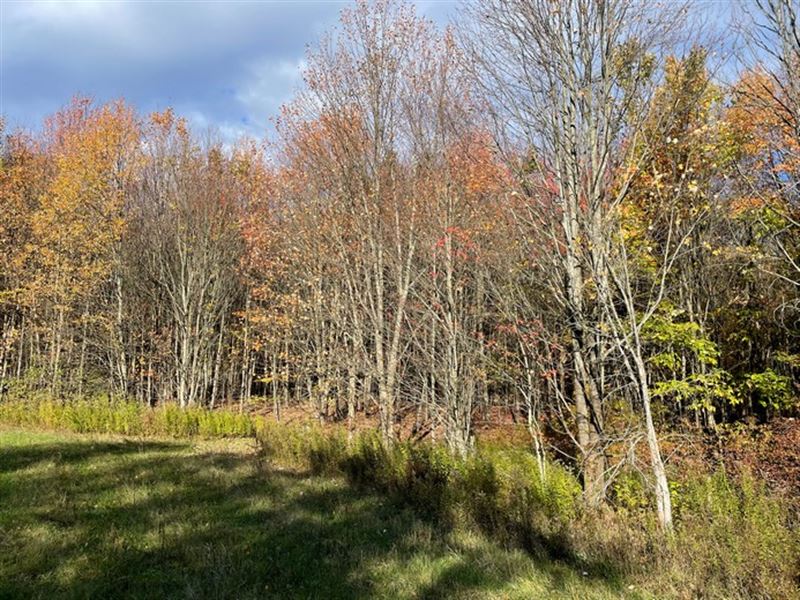 Oxbow Meadows : Antwerp : Jefferson County : New York
