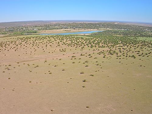 Hunt Camp Fish AZ Acre 149Mo : Concho : Apache County : Arizona