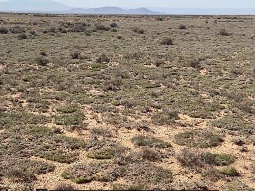 Are You Looking for Land in Colorad : San Luis : Costilla County : Colorado