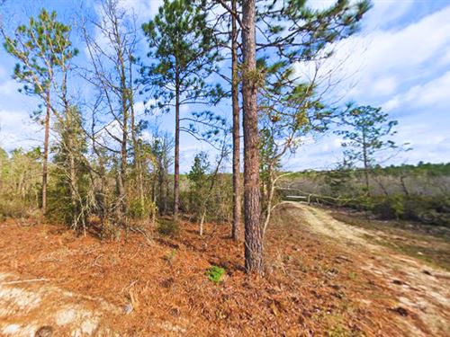 Deja LA Renta, $200 DE Enganche : Interlachen : Putnam County : Florida