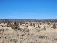 Beautiful Cal Pines Lot : Alturas : Modoc County : California