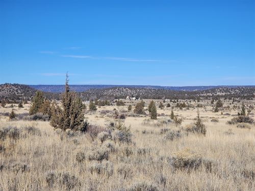 Beautiful Cal Pines Lot : Alturas : Modoc County : California