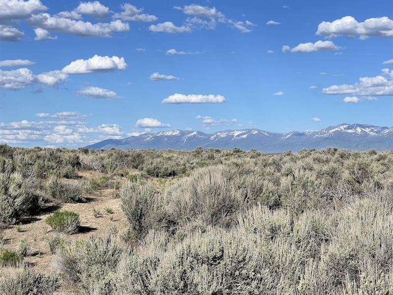 Prime Elko Land Near I-80 : Elko : Elko County : Nevada