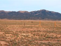 Own Your Slice of Nevada : Montello : Elko County : Nevada