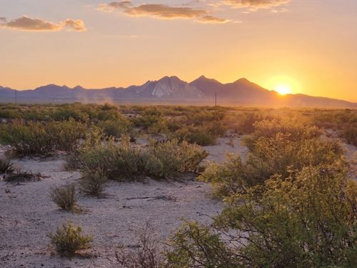 10.5 Ac Luna NM Priced for Position : Deming : Luna County : New Mexico