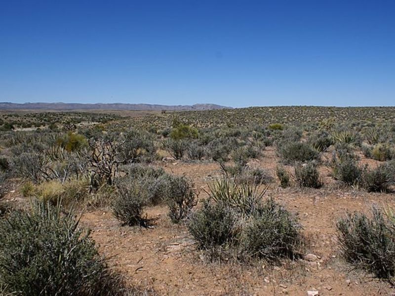 Invest in Arizona Growth : Yucca : Mohave County : Arizona