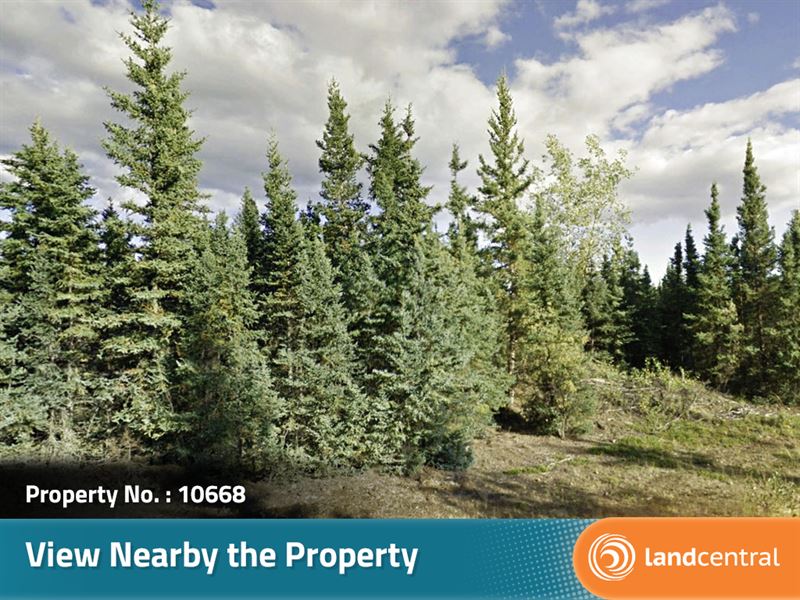 3.64 Acre Escape From The City : Delta Junction : Southeast Fairbanks Borough : Alaska