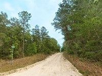 Affordable Lot Nearby Power & Pond : Satsuma : Putnam County : Florida