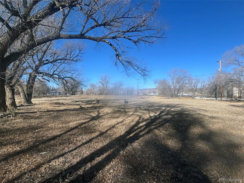 High Traffic, 4 Lots, Taps Paid : Saguache : Saguache County : Colorado