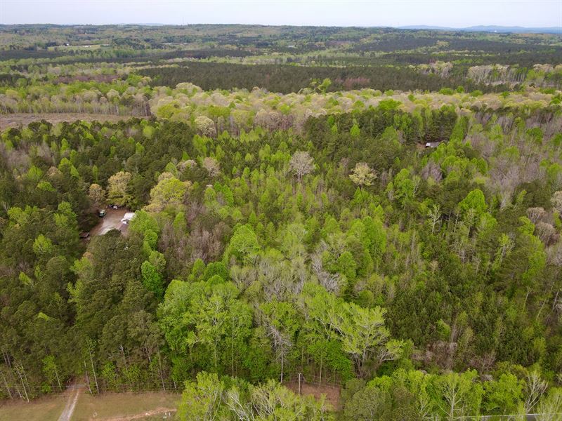 5 Acre Lot in Carroll County : Waco : Carroll County : Georgia