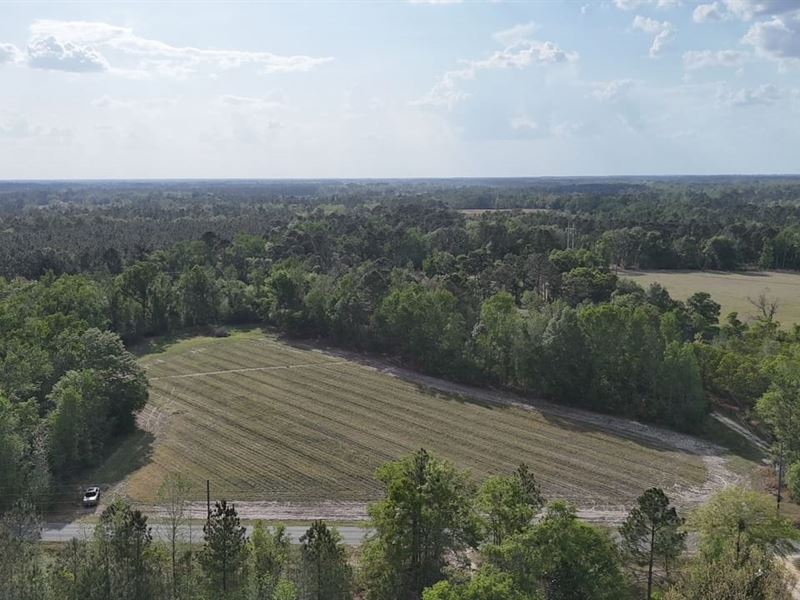 2.06 Acres, Tract 2, Spring Branc : Baxley : Appling County : Georgia