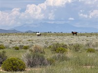 Bring The Van and a Telescope : San Luis : Costilla County : Colorado