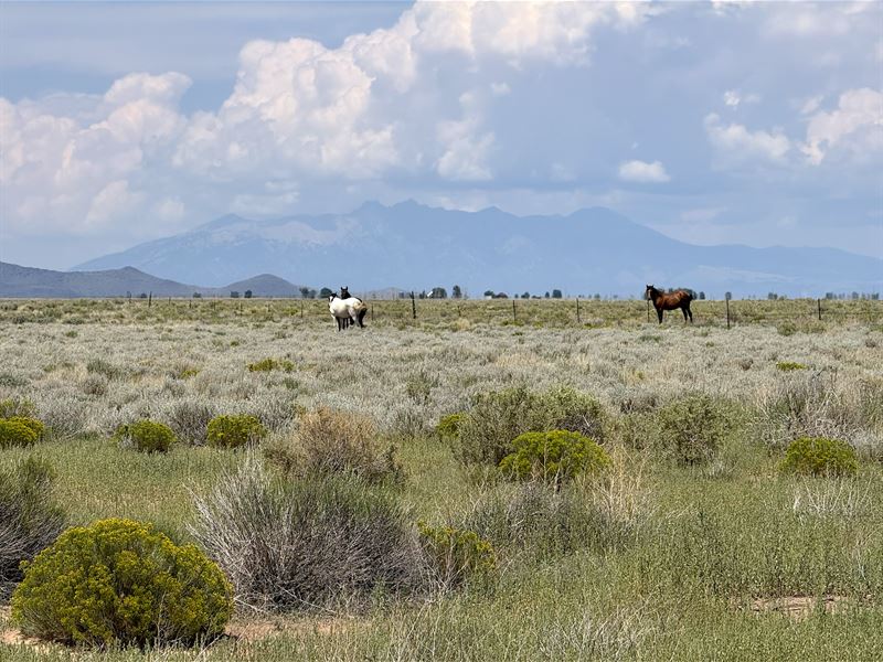 Bring The Van and a Telescope : San Luis : Costilla County : Colorado