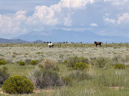 Bring The Van and a Telescope : San Luis : Costilla County : Colorado