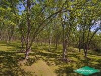 11.4 Ac Home Site Tract : Swartz : Ouachita Parish : Louisiana