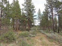 Freedom Land in Oregon : Sprague River : Klamath County : Oregon