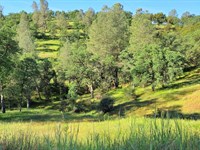 Sierra Vista Estate : Coulterville : Mariposa County : California