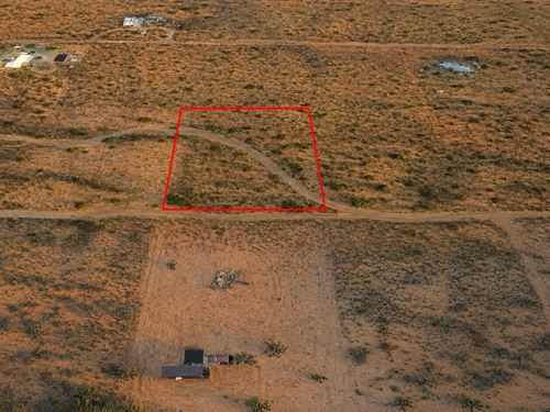 1 Acre in Dolan Springs, $200/Mo : Dolan Springs : Mohave County : Arizona
