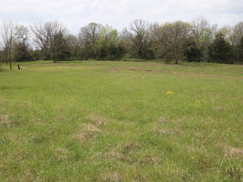 3.1 Acres Lot 11 in Webster Count : Marshfield : Webster County : Missouri