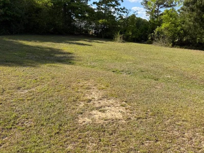 14 Acres with a Home in Covington : Opp : Covington County : Alabama