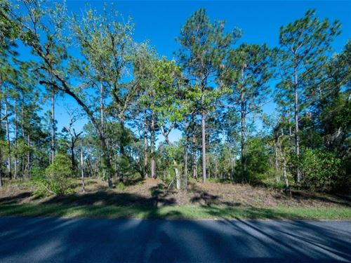 Florida is Waiting for You : Dunnellon : Marion County : Florida