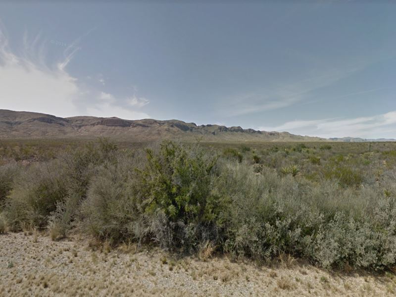 Trade The Chaos for Open Space : Alpine : Brewster County : Texas