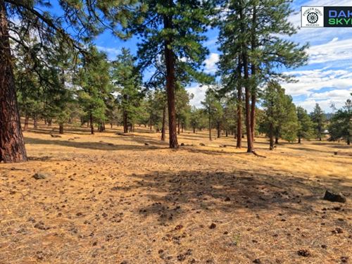 Retirement Adventure in Klamath : Klamath Falls : Klamath County : Oregon