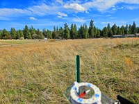 Two Lots, Home on One, Shop on One : Chiloquin : Klamath County : Oregon