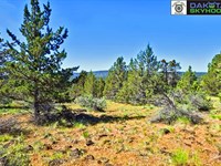 Your Plan B Needs Remote Living : Bonanza : Klamath County : Oregon