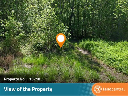 1.33 Acre Gorgeous Land in NC : Lincoln : North Carolina