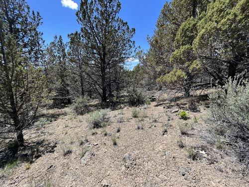 Stop Sharing Campgrounds : Chiloquin : Klamath County : Oregon