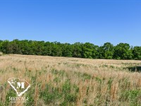 6.8 Acre Homesite Grassy Pond Area : Gaffney : Cherokee County : South Carolina