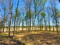 Cincinnati Zanesville Rd, 10 Acres : Amanda : Fairfield County : Ohio