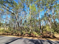 1+ Acre Lot 2 Piney Bluff Road Camd : Waverly : Camden County : Georgia