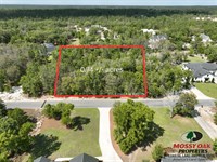 1344 River Landing Way : Blackshear : Pierce County : Georgia