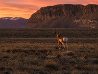 .12 Acre in Montello, NV, Unzoned : Montello : Elko County : Nevada