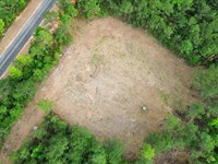 15 Acres Chattahoochee Co. GA : Cusseta : Chattahoochee County : Georgia