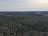 Bccc Lot 3 : Sylvania : Screven County : Georgia