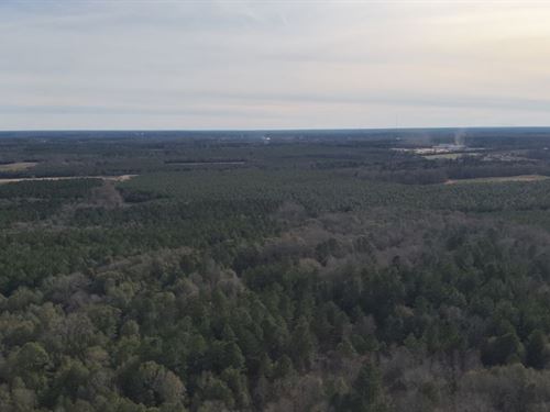 Bccc Lot 6 : Sylvania : Screven County : Georgia