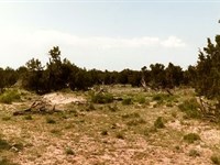 Quiet High-Desert Retreat : Chambers : Apache County : Arizona