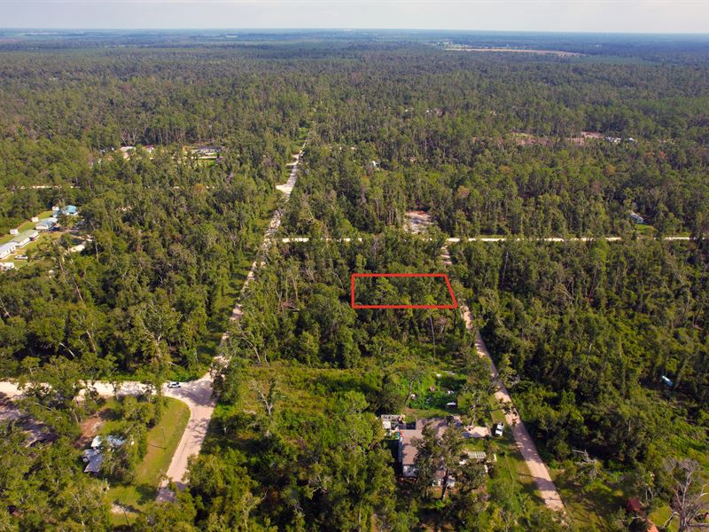 Residential Lot with Room to Grow : Suwannee : Suwannee County : Florida